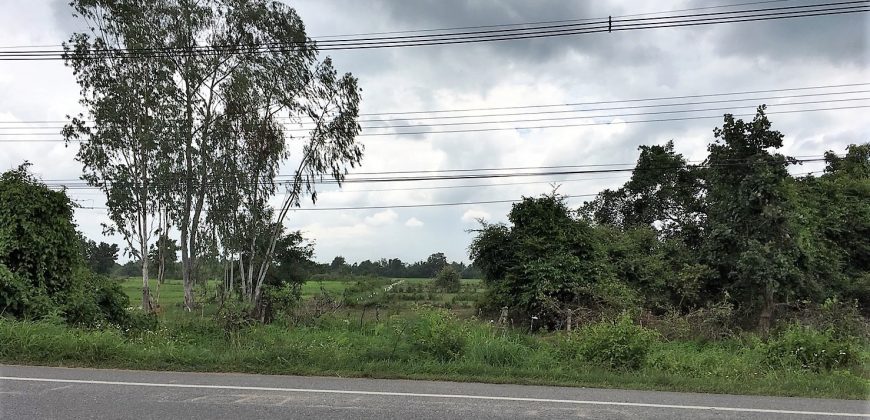 ขายที่ดิน ติดถนนใหญ่ 19 ไร่ อำเภอเมืองลำพูน ใกล้นิคมสหพัฒน์