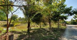 ขายที่ดินสวนเกษตร 4-3-45 ไร่ พร้อมบ้าน ป่าซาง ลำพูน