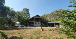 ขายที่ดินสวนเกษตร 4-3-45 ไร่ พร้อมบ้าน ป่าซาง ลำพูน