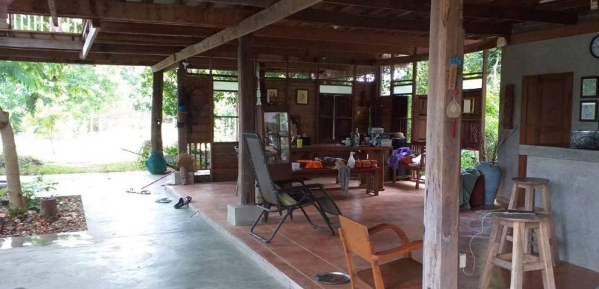 ขายที่ดินสวนเกษตร 4-3-45 ไร่ พร้อมบ้าน ป่าซาง ลำพูน