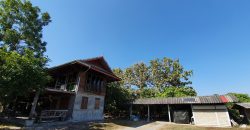 ขายที่ดินสวนเกษตร 4-3-45 ไร่ พร้อมบ้าน ป่าซาง ลำพูน