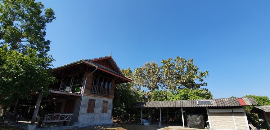 ขายที่ดินสวนเกษตร 4-3-45 ไร่ พร้อมบ้าน ป่าซาง ลำพูน
