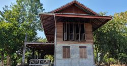 ขายที่ดินสวนเกษตร 4-3-45 ไร่ พร้อมบ้าน ป่าซาง ลำพูน
