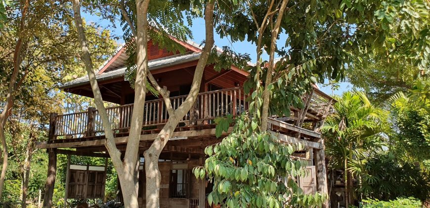ขายที่ดินสวนเกษตร 4-3-45 ไร่ พร้อมบ้าน ป่าซาง ลำพูน